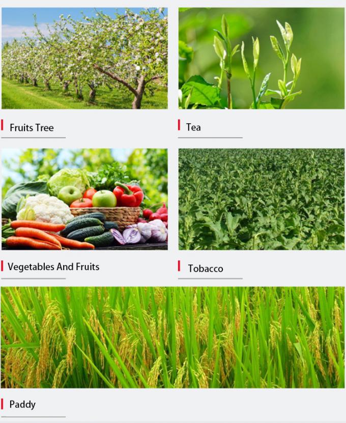 Nitrato de potasio cristalino del fertilizante orgánico del nitrato de potasio del polvo blanco de la pureza 99,7% de la planta acuática del Dr. Aid Hot Sell