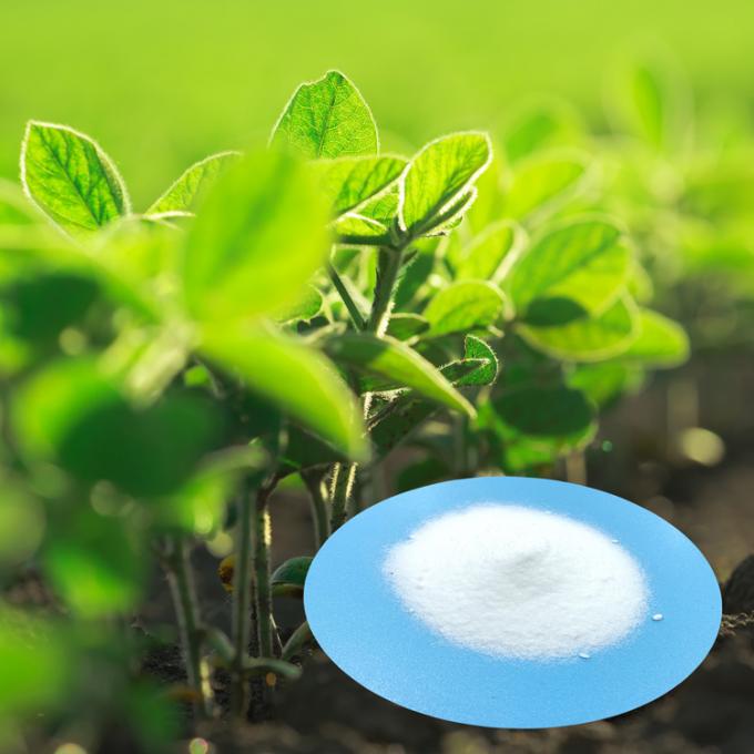 Nitrato de potasio cristalino del fertilizante orgánico del nitrato de potasio del polvo blanco de la pureza 99,7% de la planta acuática del Dr. Aid Hot Sell